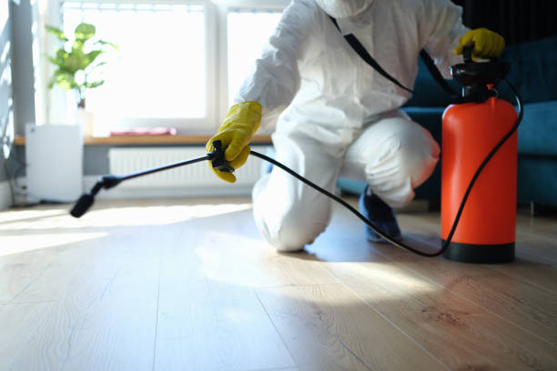 Reliable Odor Removal contractor in Springfield, FL by Trauma Clean Pros